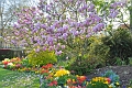 22 04_Regents Park_2492